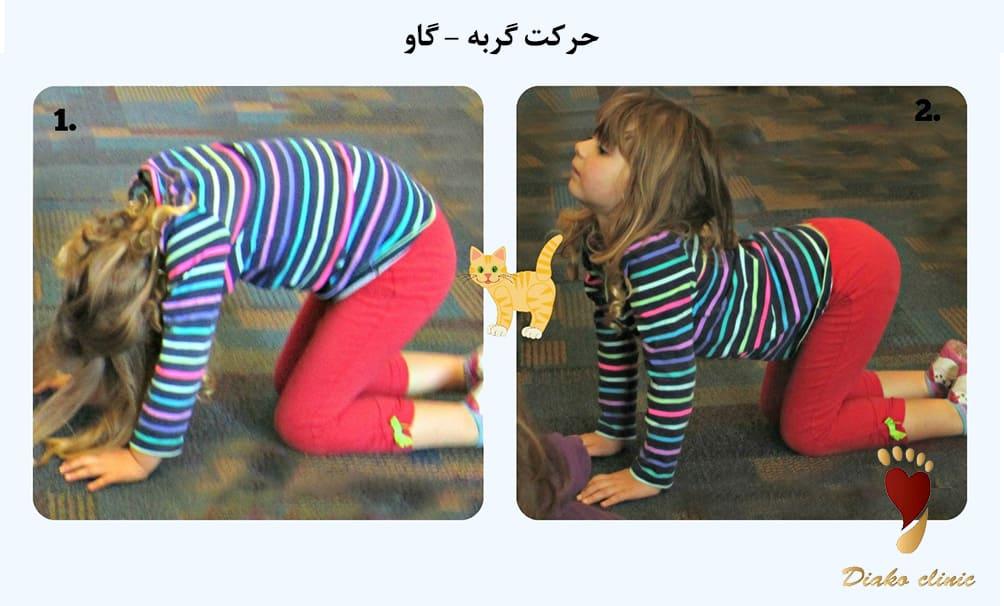 حرکت گربه-گاو جهت افزایش انعطاف‌پذیری کمر