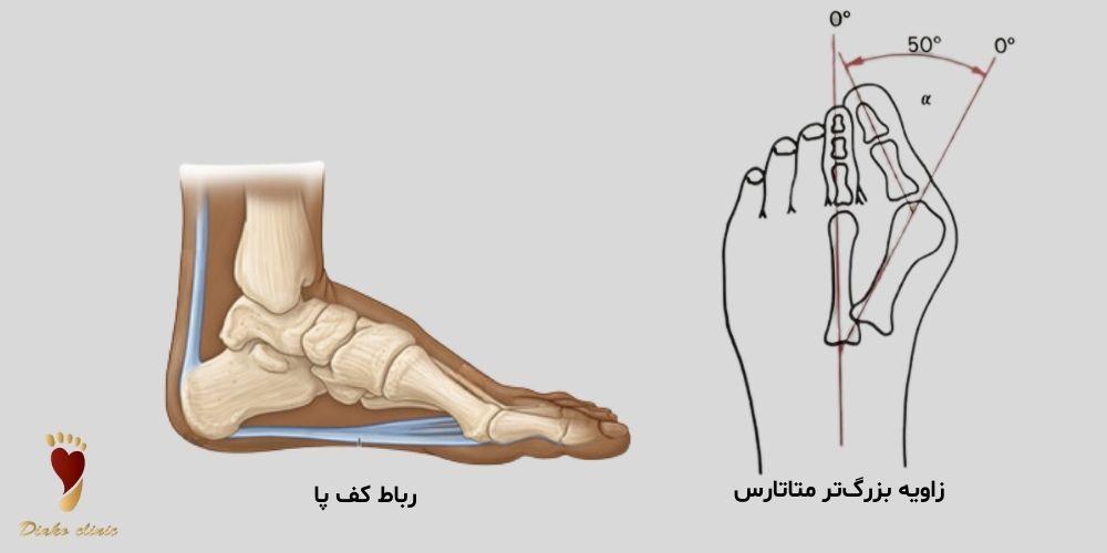 ژنتیک